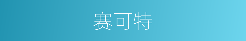 赛可特的同义词