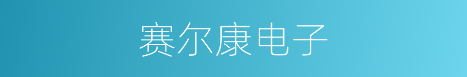 赛尔康电子的同义词