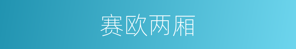 赛欧两厢的同义词