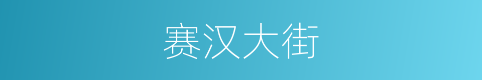 赛汉大街的同义词