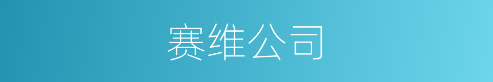 赛维公司的同义词