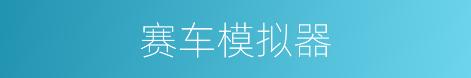 赛车模拟器的同义词