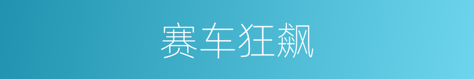 赛车狂飙的同义词