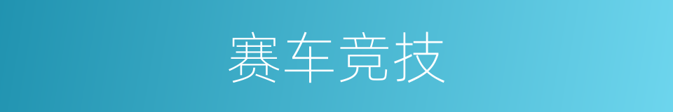 赛车竞技的同义词