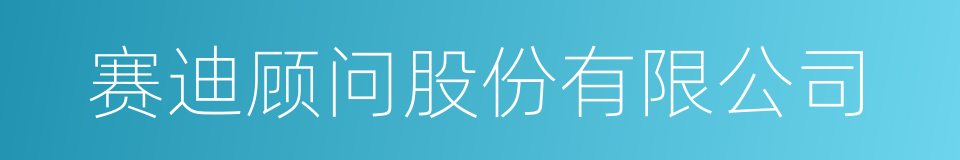 赛迪顾问股份有限公司的同义词