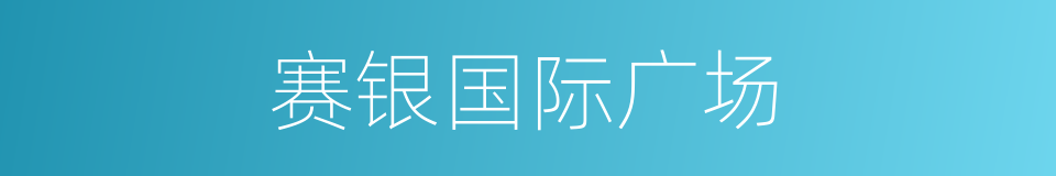 赛银国际广场的同义词