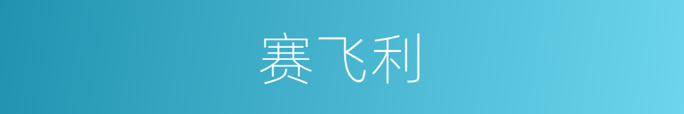 赛飞利的同义词