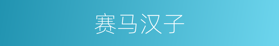 赛马汉子的同义词