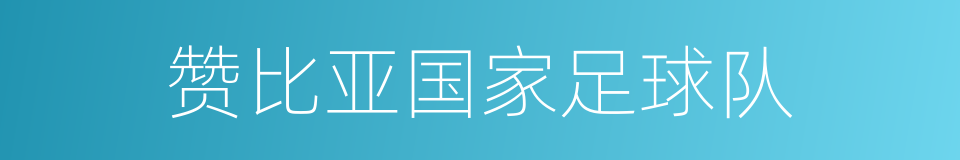 赞比亚国家足球队的同义词