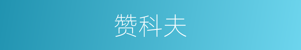 赞科夫的同义词