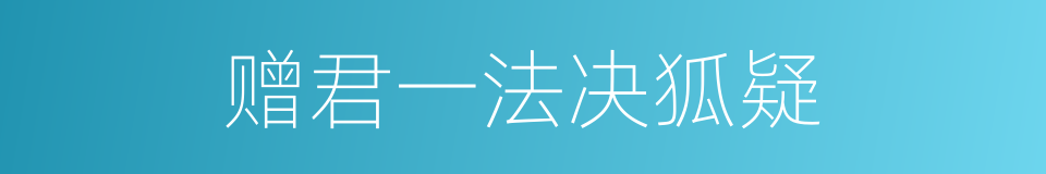 赠君一法决狐疑的同义词