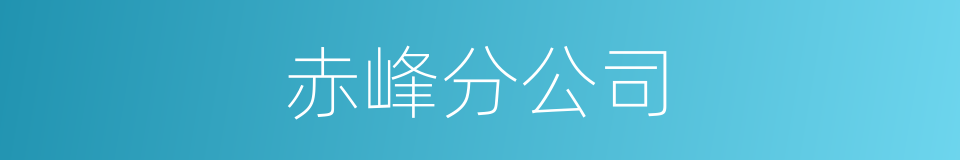 赤峰分公司的同义词