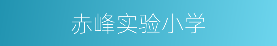 赤峰实验小学的同义词