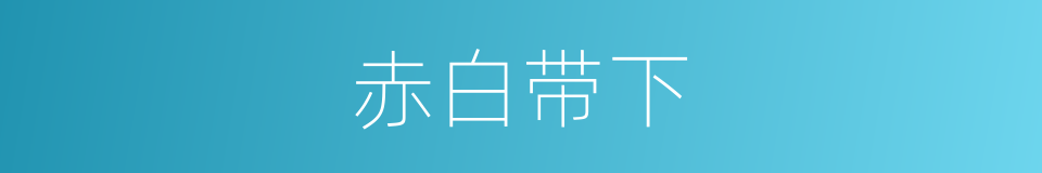 赤白带下的意思