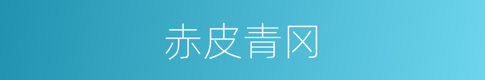 赤皮青冈的同义词