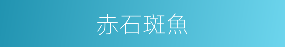 赤石斑魚的同義詞