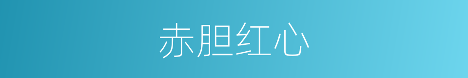 赤胆红心的同义词