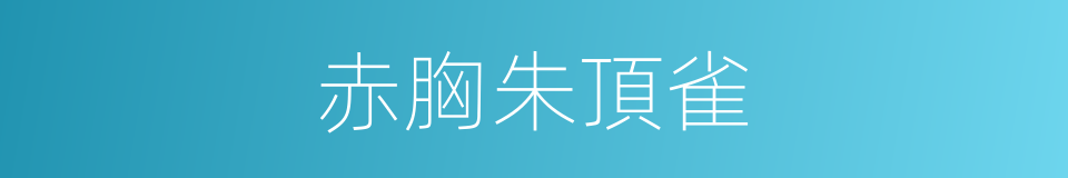 赤胸朱頂雀的同義詞