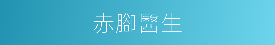 赤腳醫生的意思