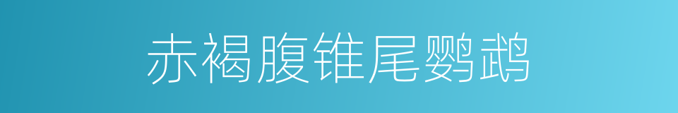 赤褐腹锥尾鹦鹉的同义词