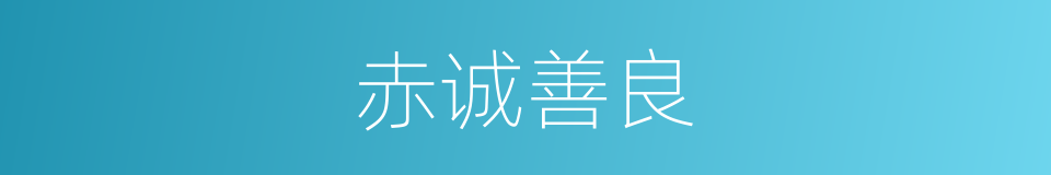 赤诚善良的意思