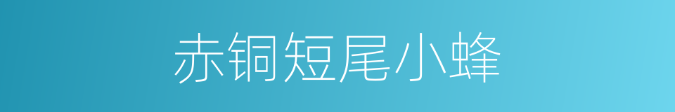 赤铜短尾小蜂的同义词