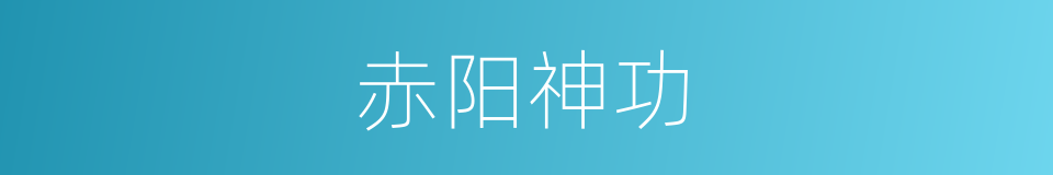 赤阳神功的同义词
