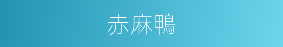 赤麻鴨的同義詞