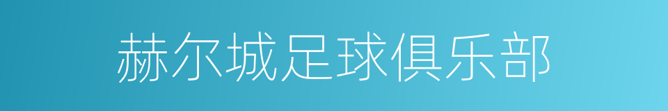 赫尔城足球俱乐部的同义词