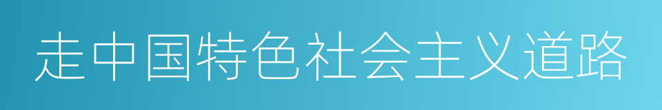 走中国特色社会主义道路的同义词