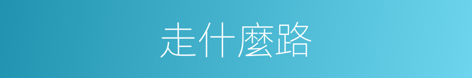 走什麼路的同義詞