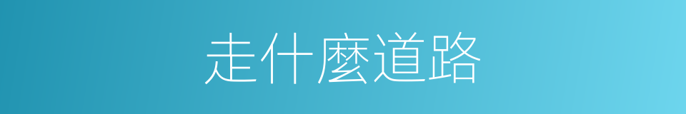 走什麼道路的同義詞