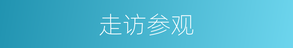 走访参观的同义词