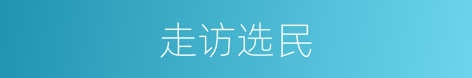 走访选民的同义词