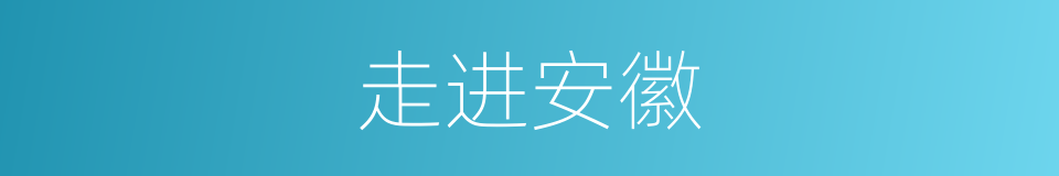 走进安徽的意思