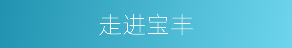 走进宝丰的同义词