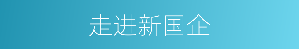 走进新国企的同义词