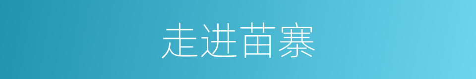 走进苗寨的同义词