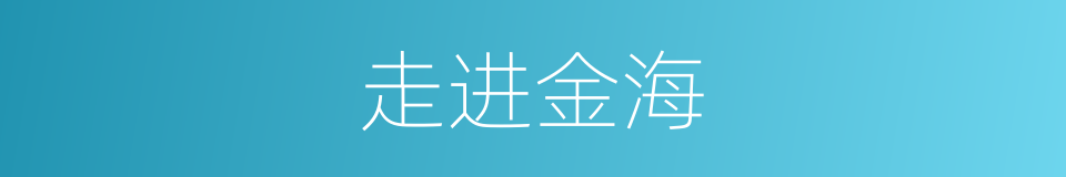 走进金海的同义词