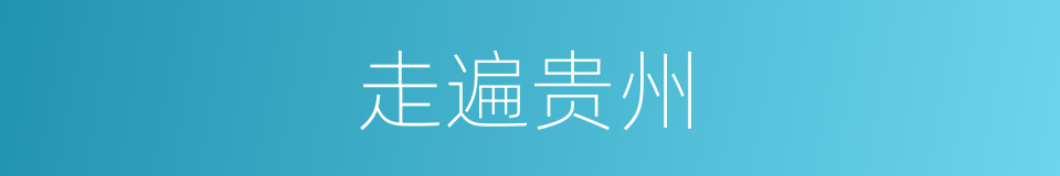 走遍贵州的同义词