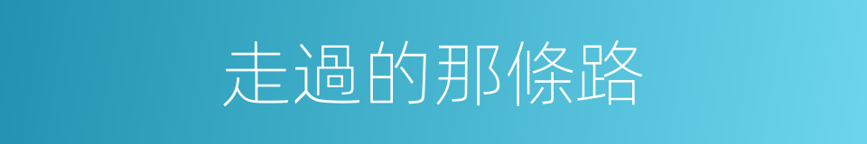 走過的那條路的同義詞
