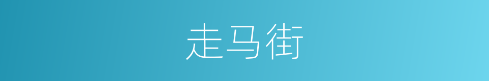 走马街的同义词