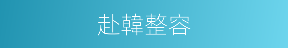 赴韓整容的同義詞