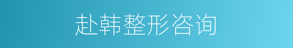 赴韩整形咨询的同义词