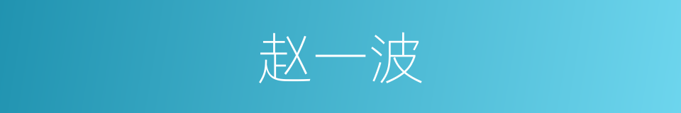 赵一波的同义词