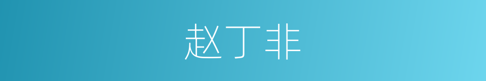 赵丁非的同义词