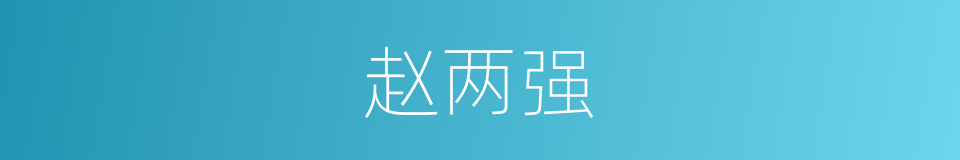 赵两强的同义词