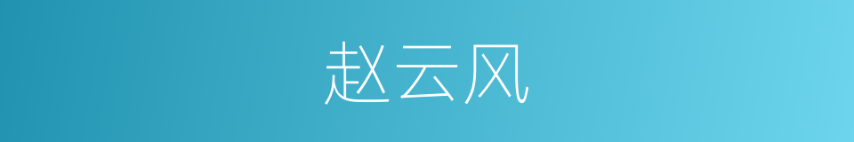 赵云风的同义词
