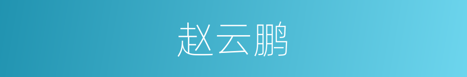 赵云鹏的同义词