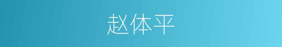 赵体平的同义词